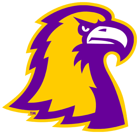 Tennessee Tech Golden Eagles 2006-Pres Alternate Logo v4 diy fabric transfers